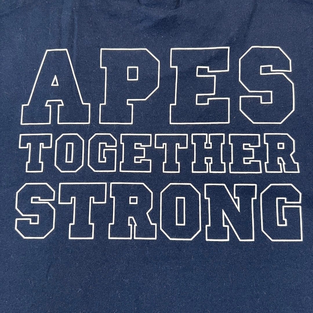 BAPE Back Graphic Short-Sleeve T-Shirt — detail