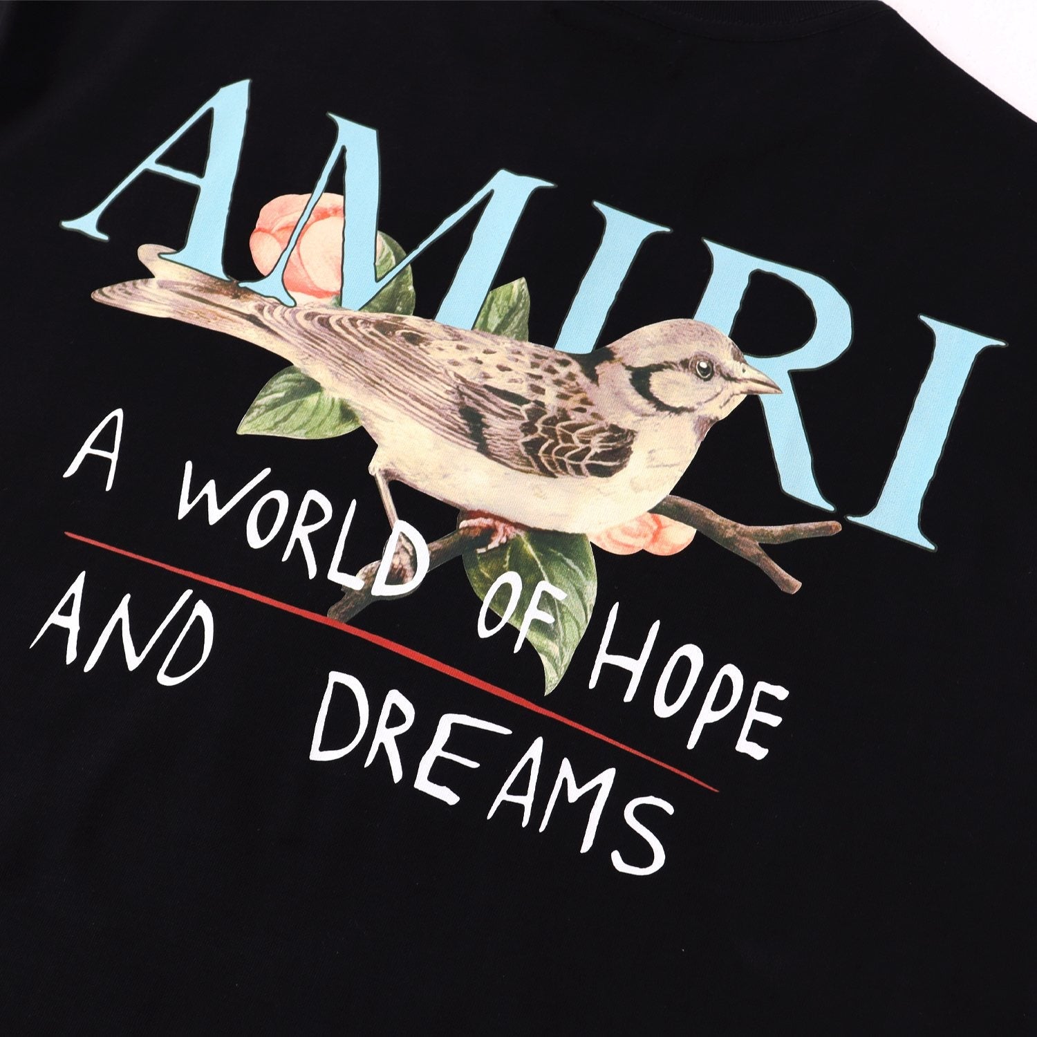 AMIRI Bird Graphic Short-Sleeve T-Shirt — detail