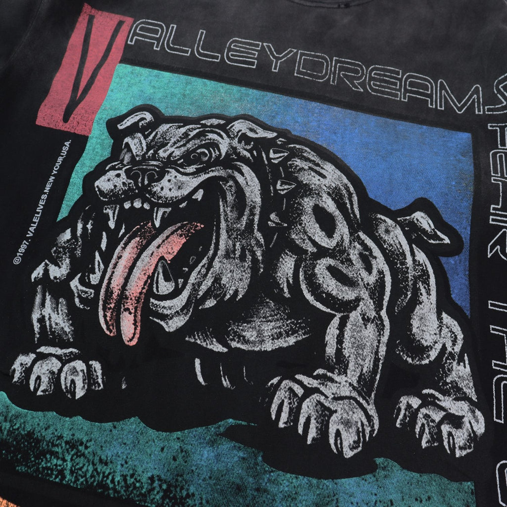 Valley Dreams Stage Power Bulldog Graphic T-Shirt — detail