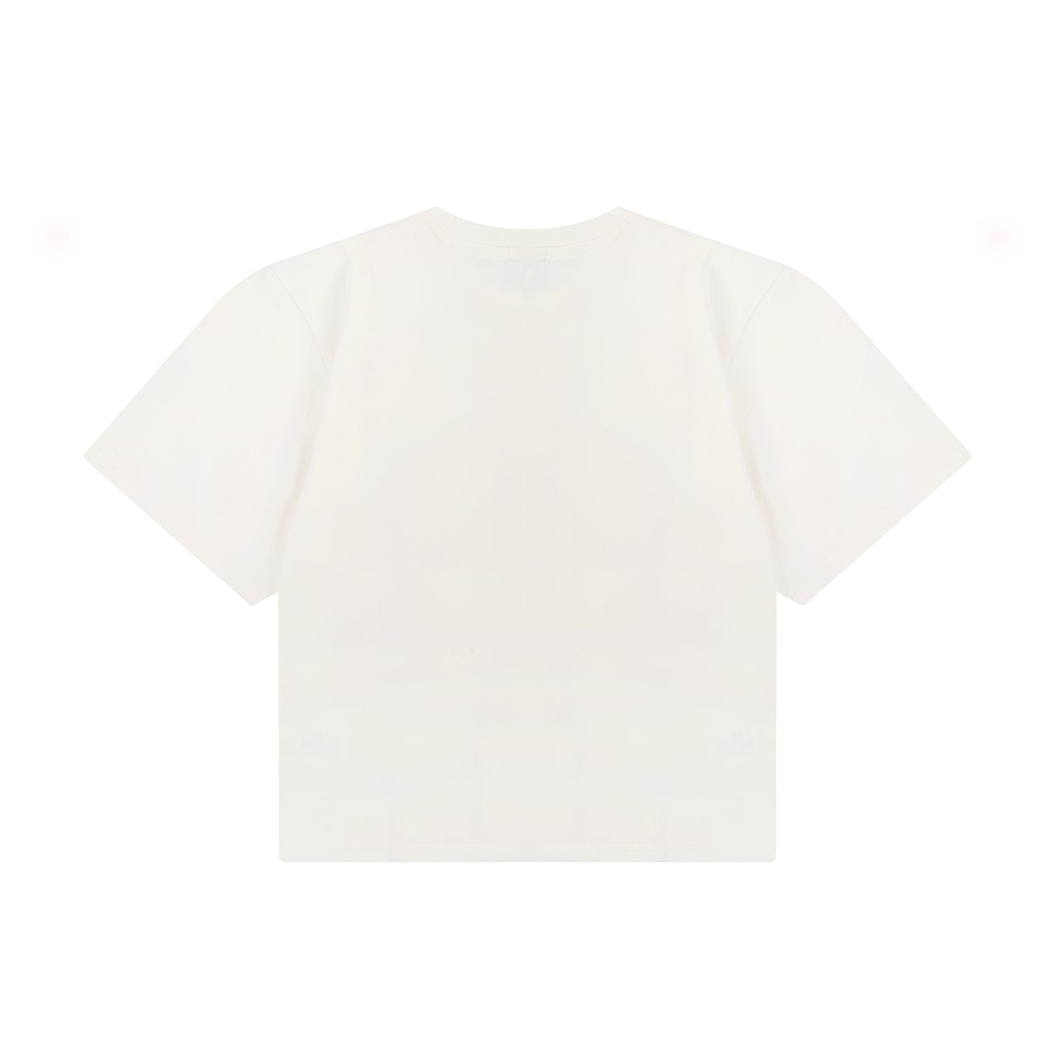 Test2-Ralph Lauren Women's Oversized Drop-Shoulder Pony Embroidered T-Shirt — back