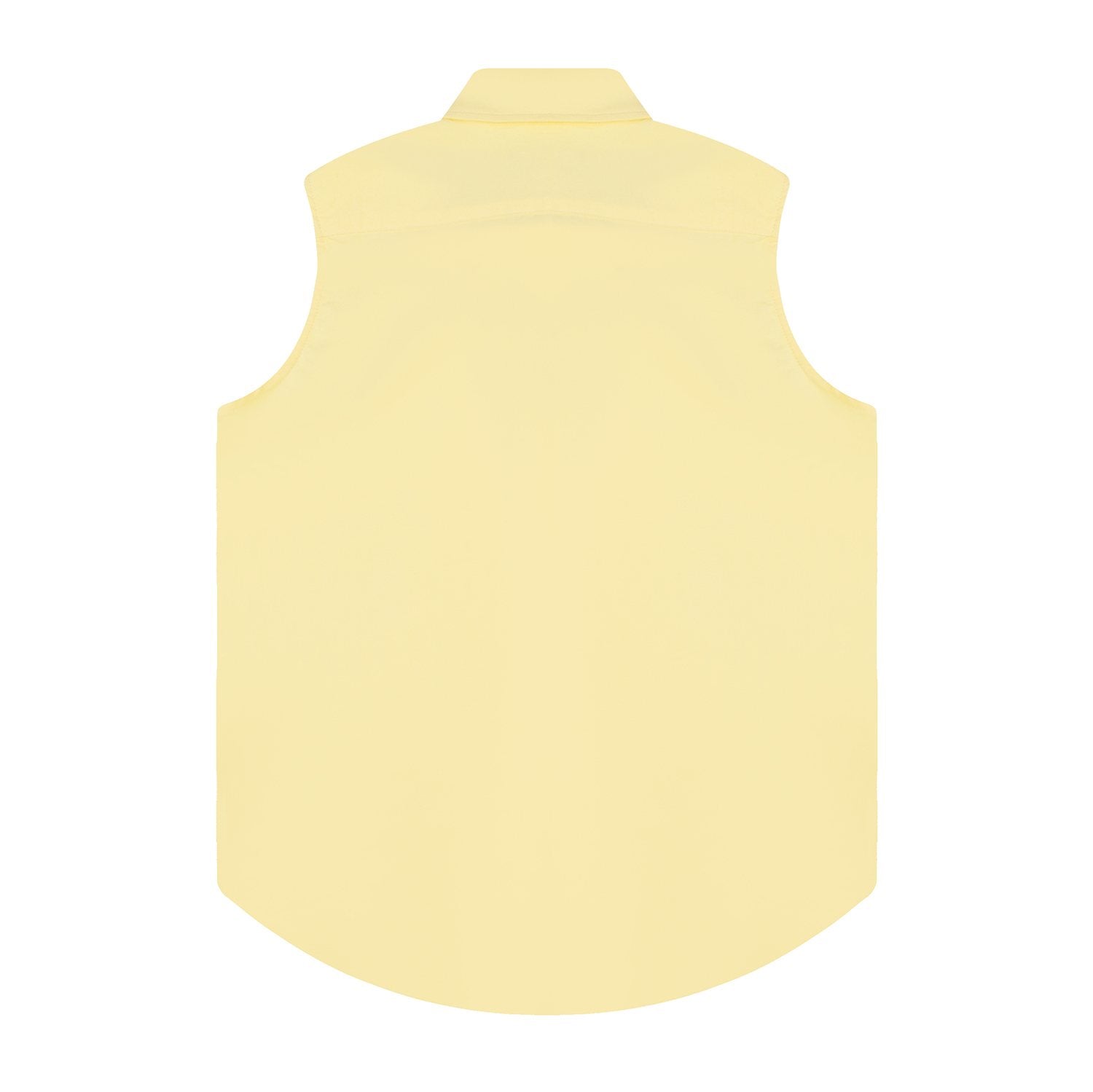 Test2-Ralph Lauren Sleeveless Oxford Button-Front Shirt — back